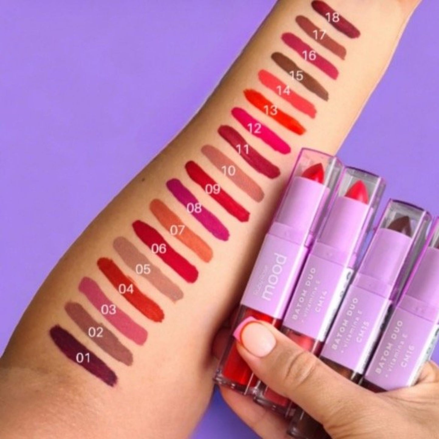 Labial Duo Mood Ruby Rose HB8614-2